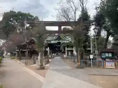 荏原神社の鳥居