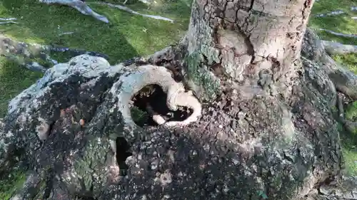 長壽寺（長寿寺）(神奈川県)
