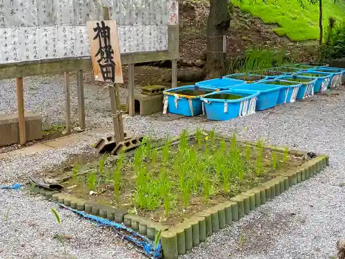 東沼神社の庭園