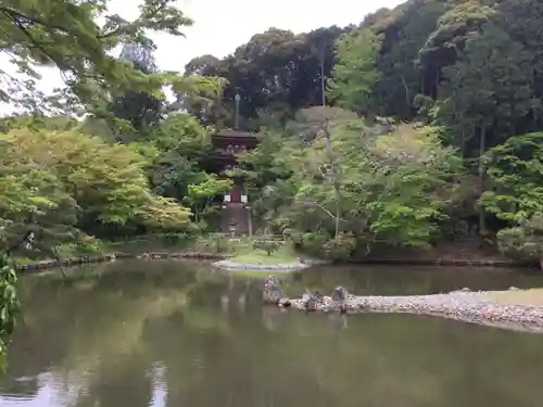 浄瑠璃寺の庭園