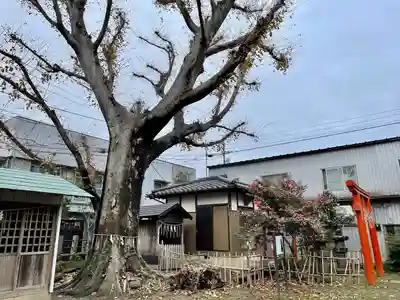 龍ケ崎八坂神社(茨城県)