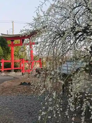 石母田　三吉神社(福島県)