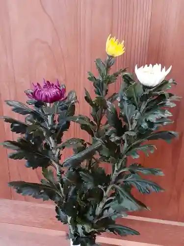 伏木香取神社の自然