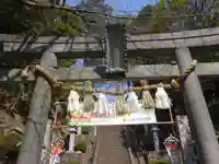 師岡熊野神社の鳥居