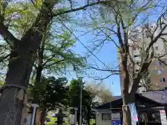 札幌諏訪神社の建物その他