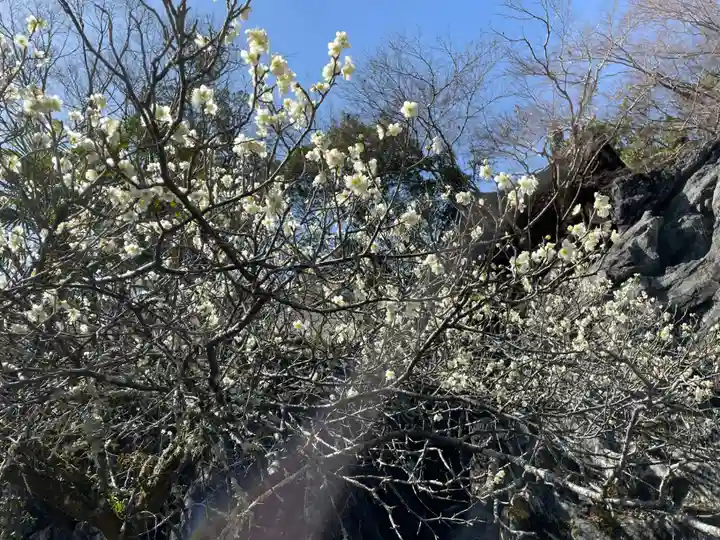 石山寺(滋賀県)
