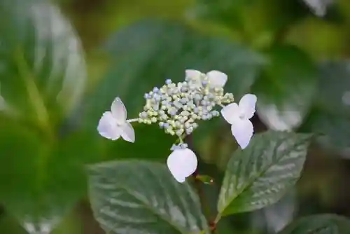 尻岸内八幡神社(北海道)