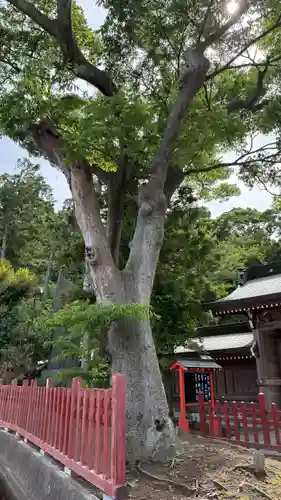住吉神社(福島県)