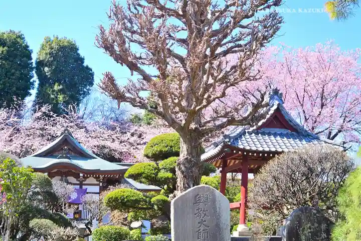 密藏院(埼玉県)