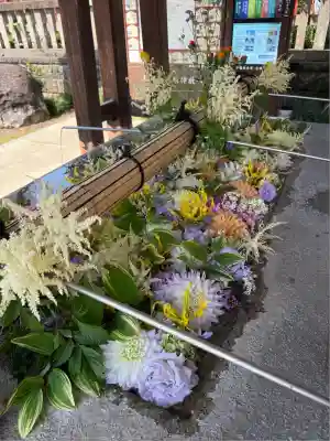 大前神社(栃木県)