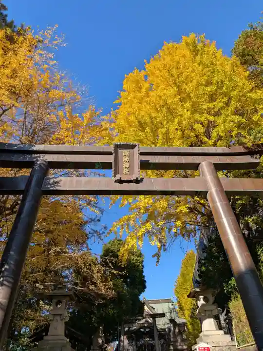 諏訪神社(東京都)