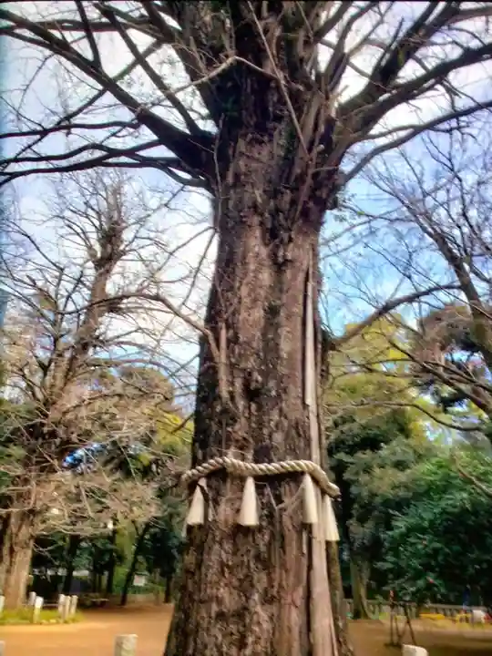 赤坂氷川神社(東京都)