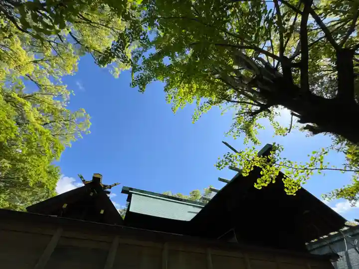 白金龍王社(愛知県)