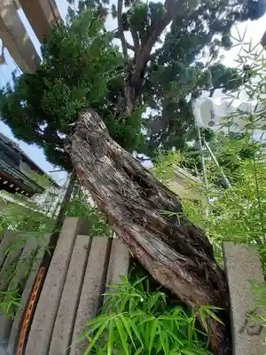 熊野大神宮(大阪府)