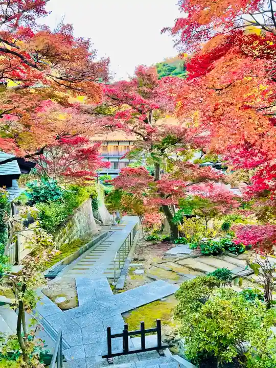 龍峰院(神奈川県)