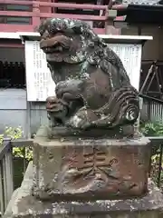 柏神社の狛犬
