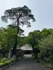 高乗寺(東京都)