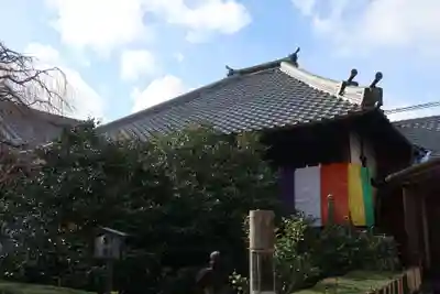 地蔵院（椿寺）(京都府)