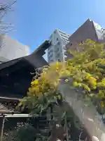 蔵前神社(東京都)