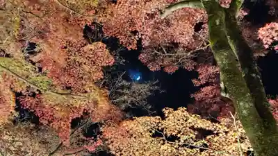 宝厳院(京都府)