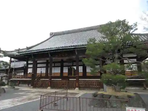 本隆寺（本妙興隆寺）(京都府)