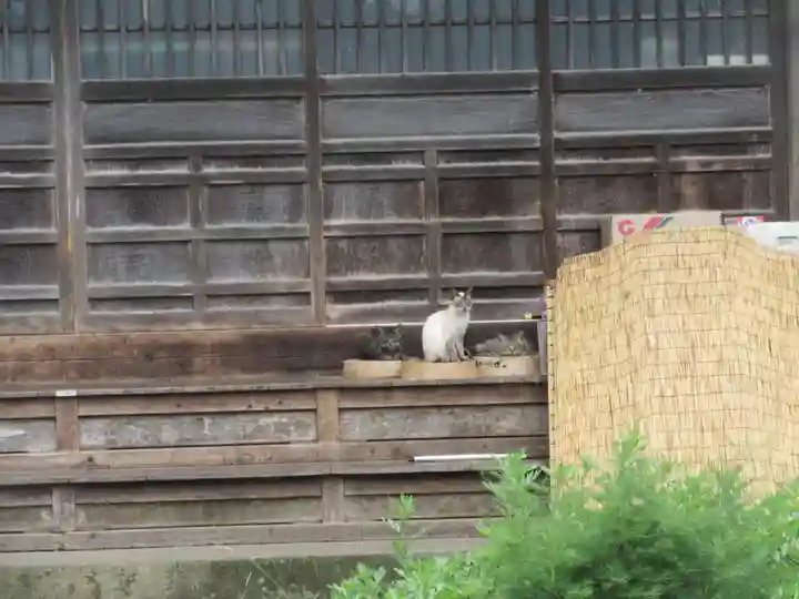 円通寺(埼玉県)