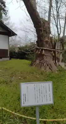 白鳥神社(宮城県)