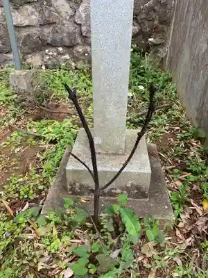 若宮八幡神社(千葉県)