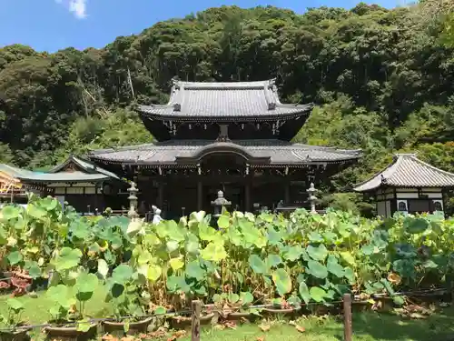 三室戸寺の景色