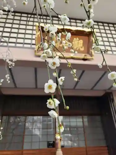 聖輪寺のその他建物