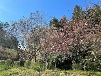 中尊寺(岩手県)