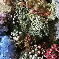 札幌諏訪神社の手水舎