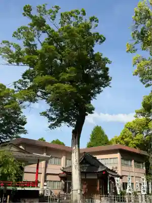米之宮浅間神社(静岡県)