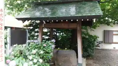 蔵前神社の手水舎