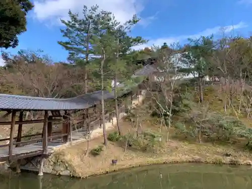 高台寺（高台寿聖禅寺・高臺寺）の庭園