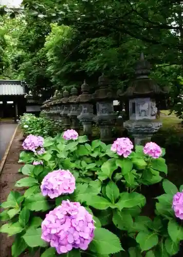 妙法寺(東京都)