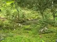 龍光院(大阪府)