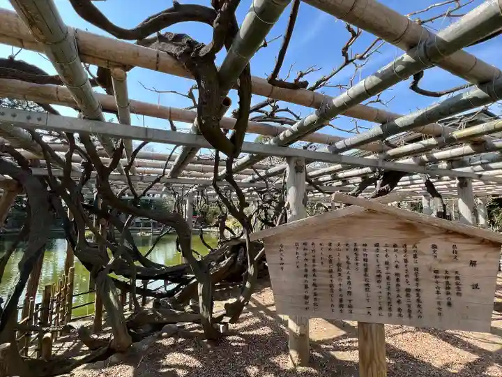 越ヶ谷久伊豆神社(埼玉県)
