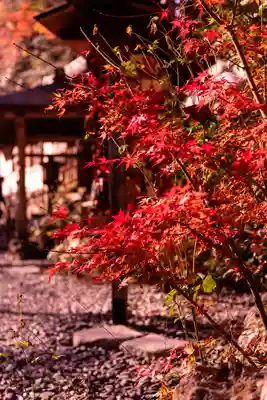 貴船神社(京都府)