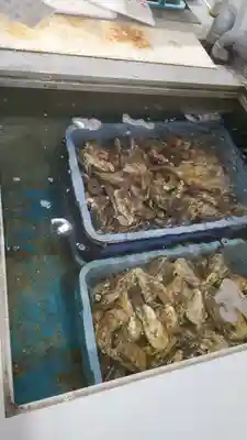 伊和都比売神社(兵庫県)