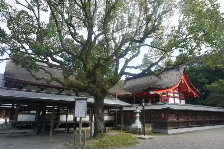 宗像大社の本殿・本堂