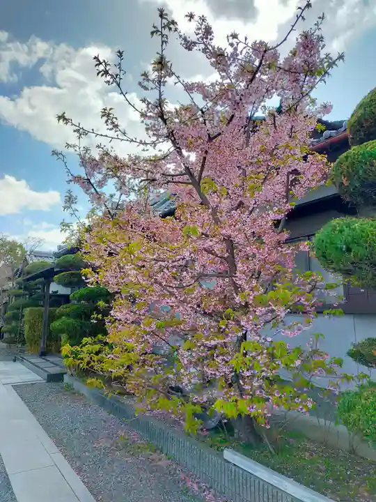 珊瑚寺(和歌山県)