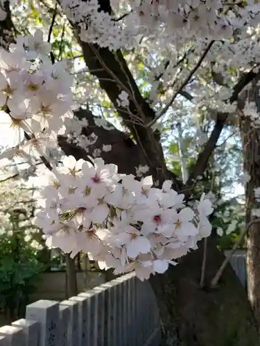多田神社の自然