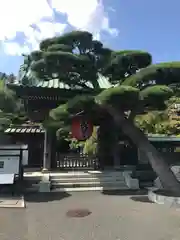 長谷寺の山門