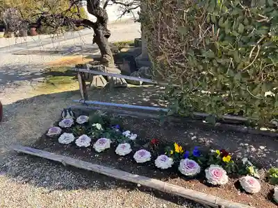 正等山 円福寺(愛知県)