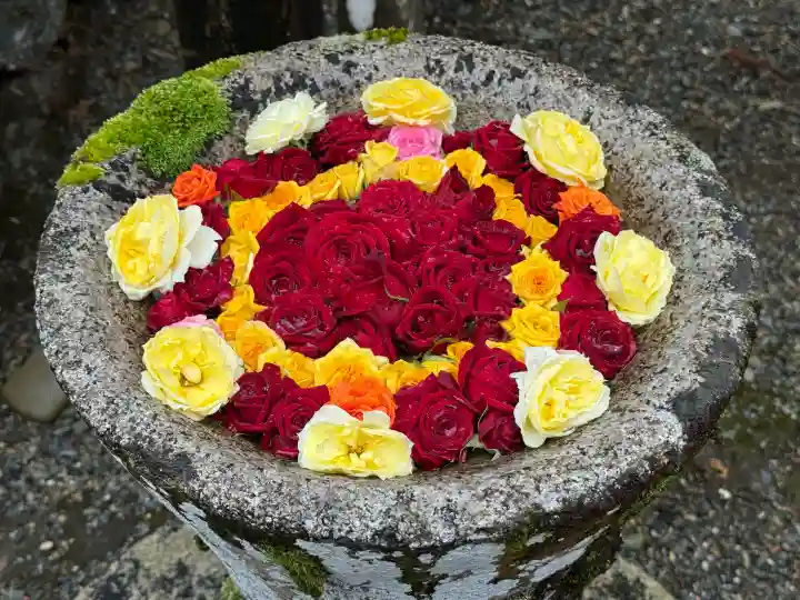 丹生都比売神社の{uncategorized: "未分類", other: "その他", undefined: "問題あり", building: "その他建物", grave: "お墓", sacred_gate: "鳥居", guardian: "狛犬", statue: "像", buddha: "仏像", history: "歴史", nature: "自然", garden: "庭園", animal: "動物", pagoda: "塔", temizu: "手水舎", mountain_gate: "山門・神門", sanctuary: "本殿・本堂", subordinate: "末社・摂社", art: "芸術", scenery: "景色", jizo: "地蔵", ema: "絵馬", goshuin: "御朱印", omikuji: "おみくじ", items: "授与品その他", amulet: "お守り", goshuincho: "御朱印帳", eats: "食事", festival: "お祭り", votive_dance: "神楽", shichigosan: "七五三参", wedding: "結婚式", experience: "体験その他", initially: "初詣", around: "周辺", anti_infection: "感染症対策"}