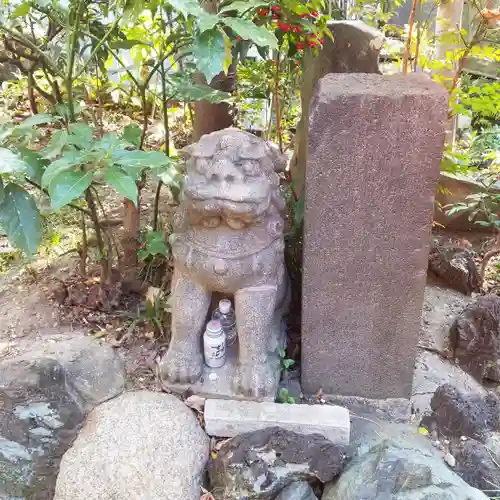 江島杉山神社の狛犬