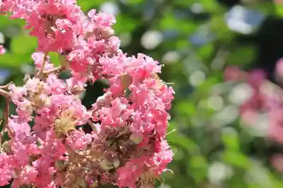 岩船寺(京都府)