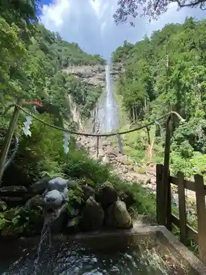 飛瀧神社(熊野那智大社別宮)の自然