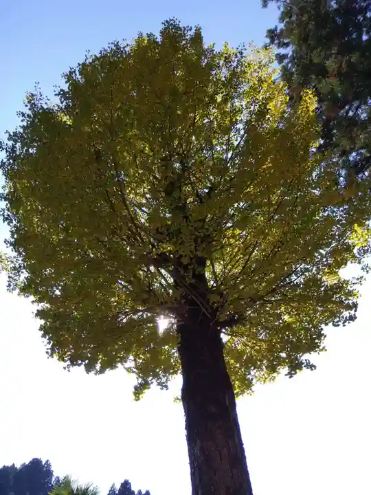 白山神社(福井県)